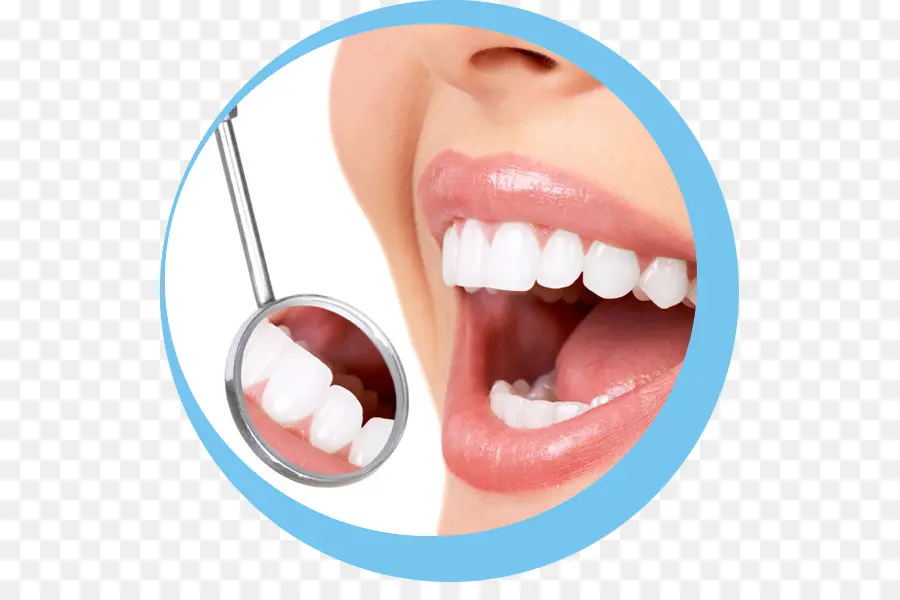 Odontologia，A Restauração Dentária PNG