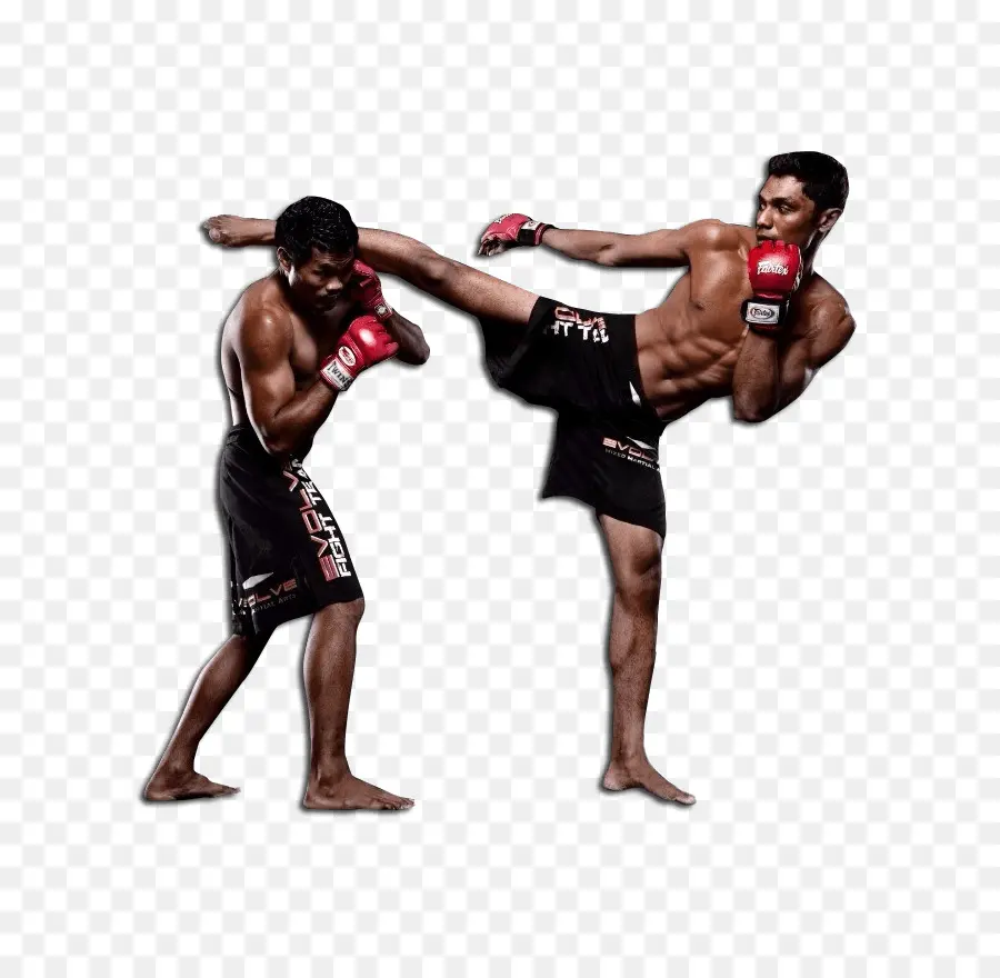 Artes Marciais Mistas，Esporte De Combate PNG