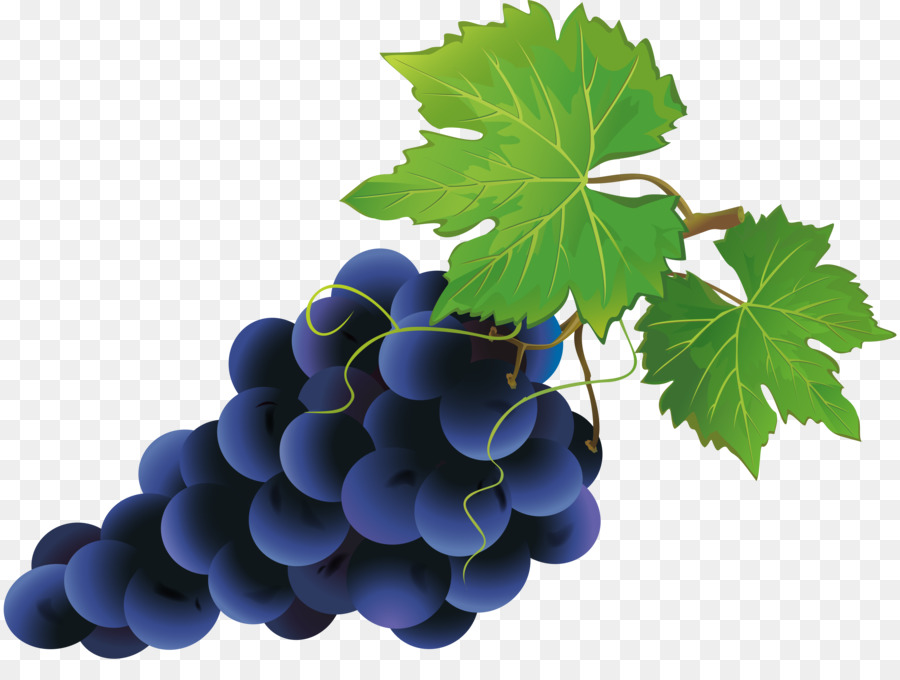 Vinho E Uvas，Vinho Tinto PNG