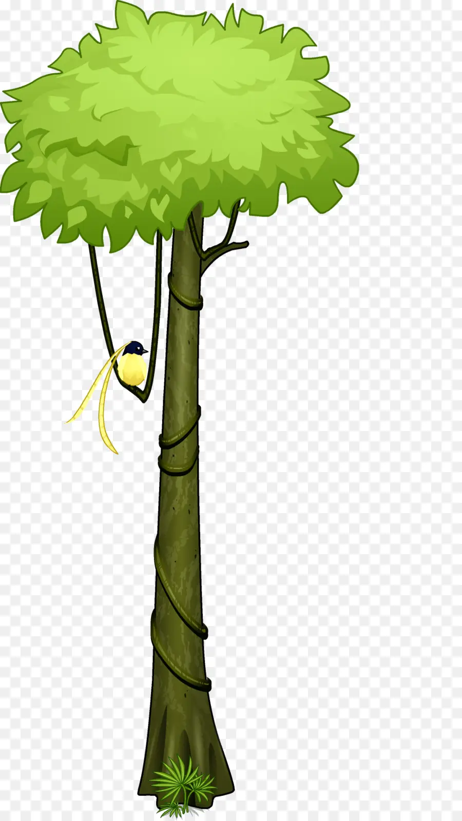 Árvore De Desenho Animado，Floresta PNG