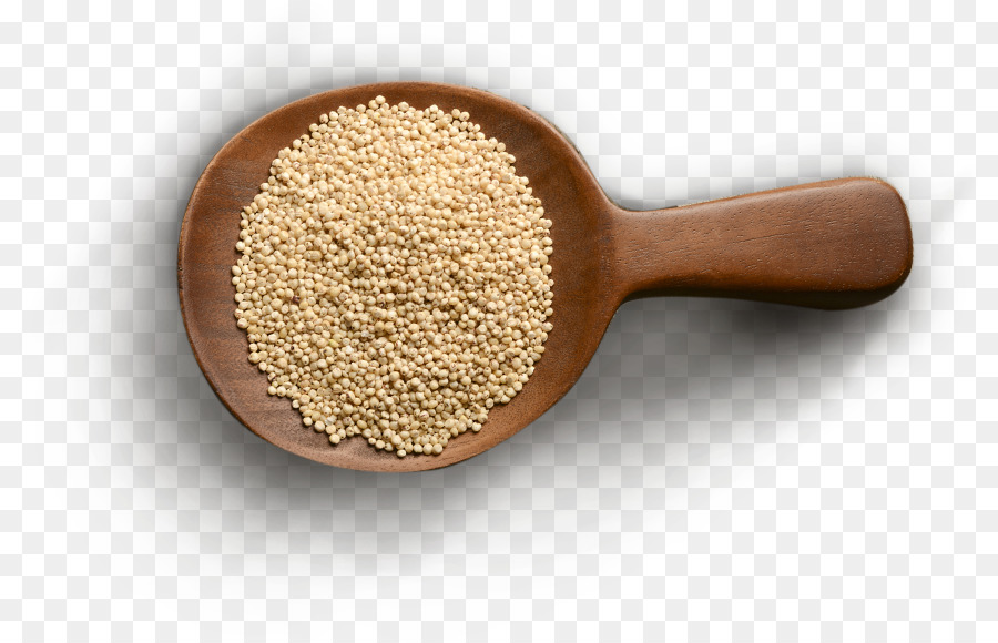 Quinoa，Grão PNG