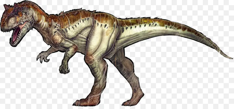 Allosaurus，Arca De Sobrevivência Evoluiu PNG