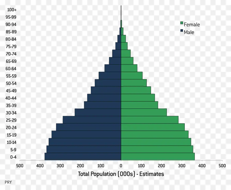 Pirâmide Populacional，Demografia PNG