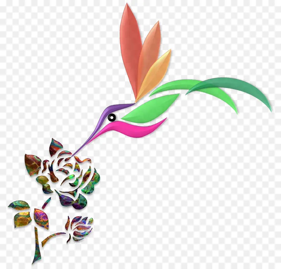 Colibri，Flor PNG