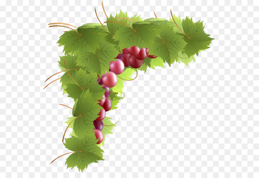 Blog，Frutas PNG