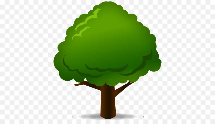 árvore，Folha PNG