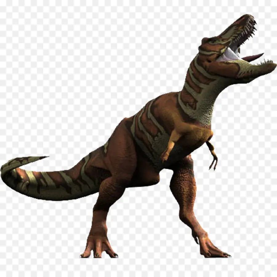 Daspletosaurus，O Torossauro PNG