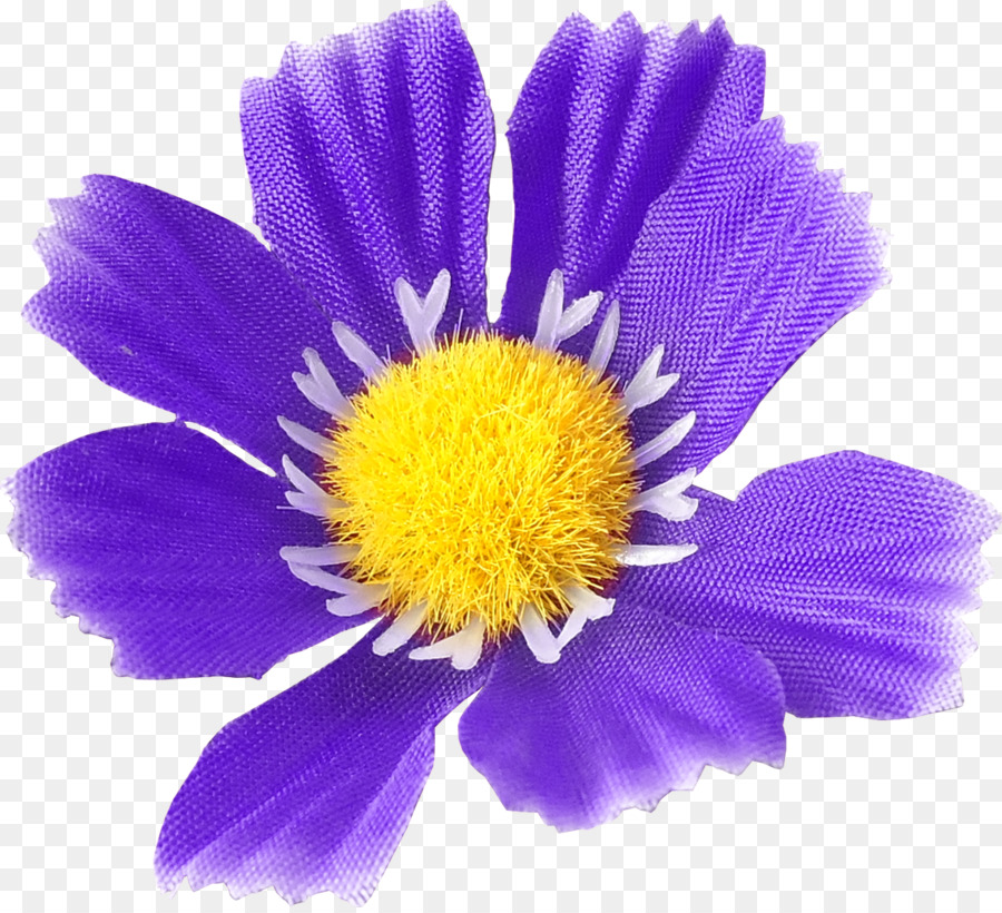 Flor Roxa，Florescer PNG