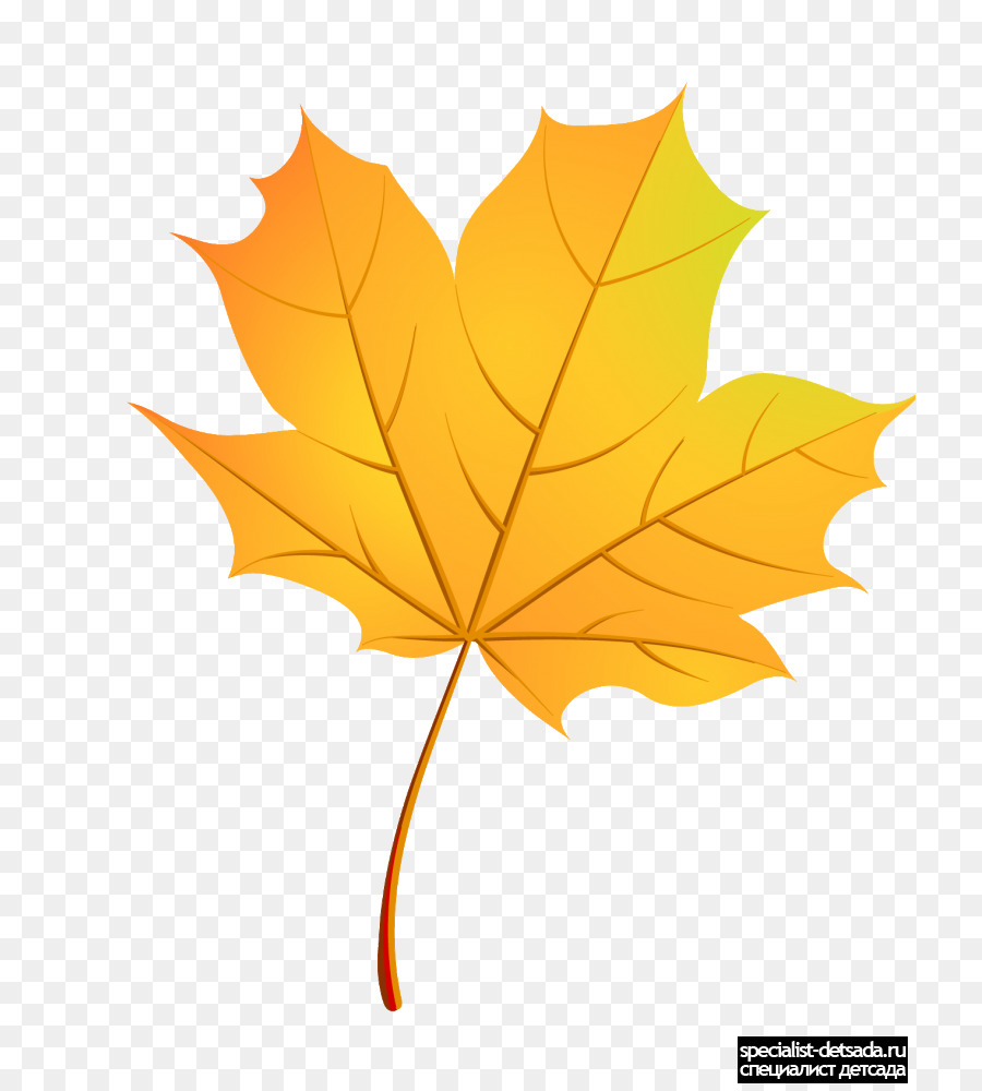 Folha，Maple Leaf PNG