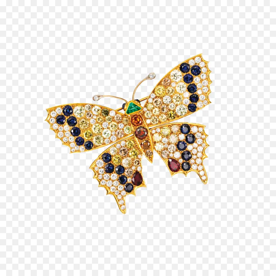 Broche De Borboleta，Broche PNG