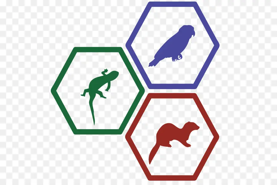 Ícones De Animais，Hexágono PNG