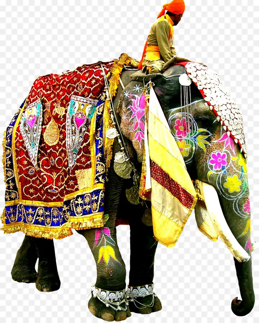 Elefante Decorado，Colorido PNG