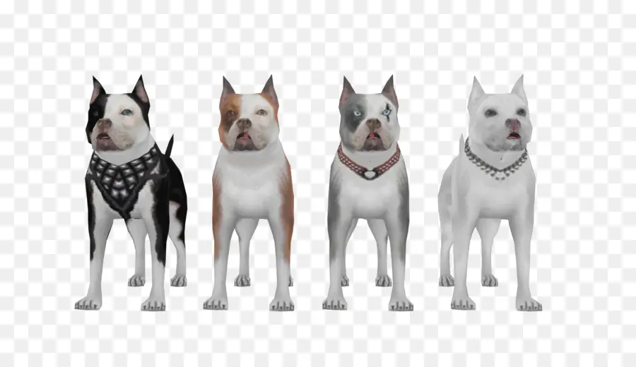 San Andreas Multiplayer，Pit Bull PNG