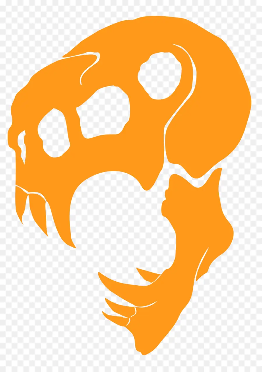 Caveira Laranja，Osso PNG