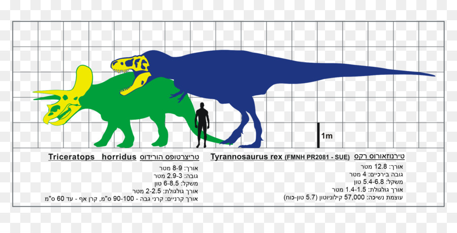 Tiranossauro，Triceratops PNG