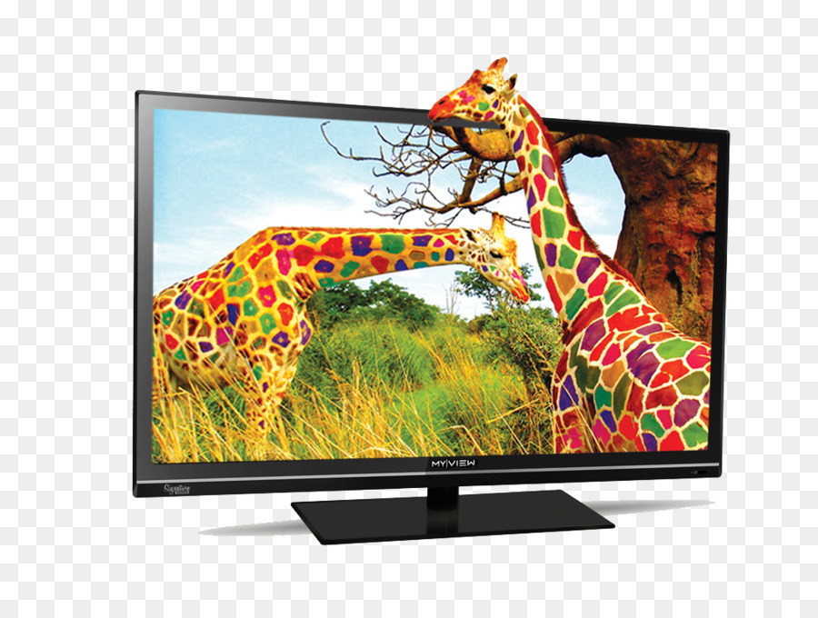 Televisão，Girafas PNG