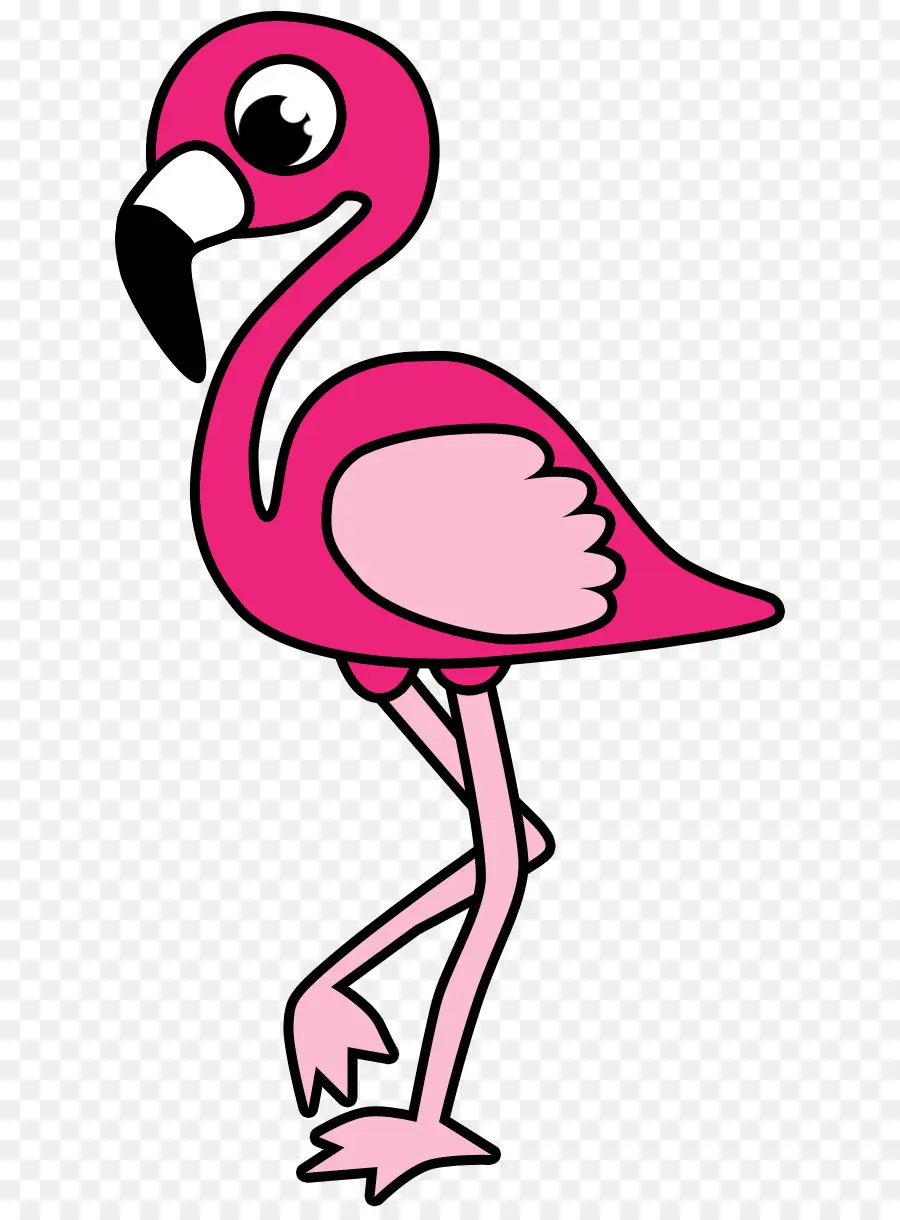 Flamingo，Rosa PNG