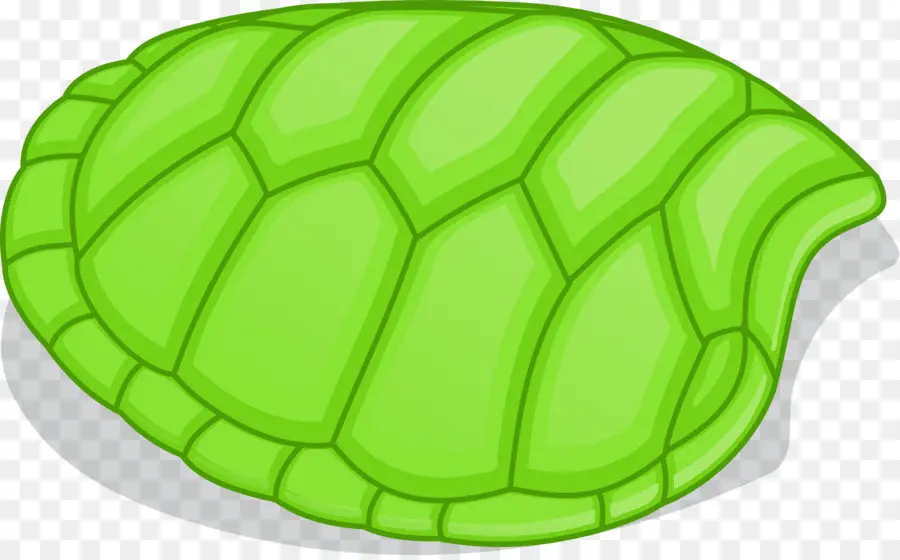 Turtle，Casco De Tartaruga PNG