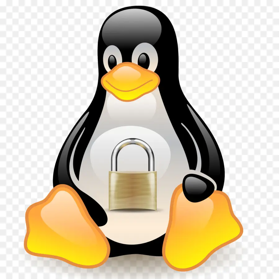 Pinguim Linux Com Cadeado，Linux PNG