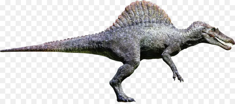 Dinossauro Verde，Pré Histórico PNG