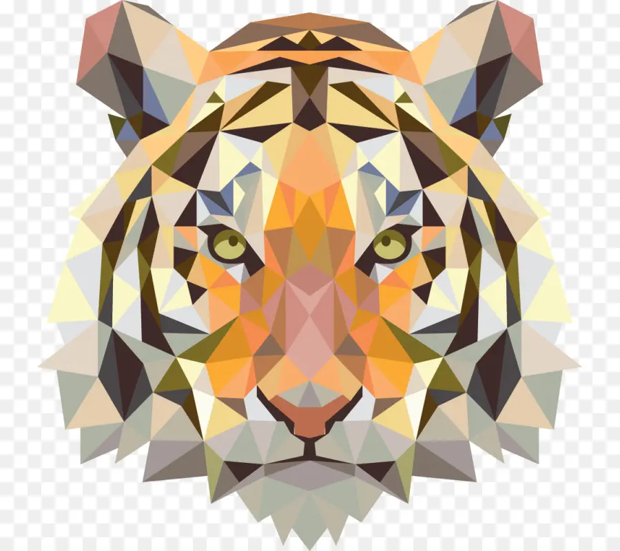 Tigre，Desenho PNG