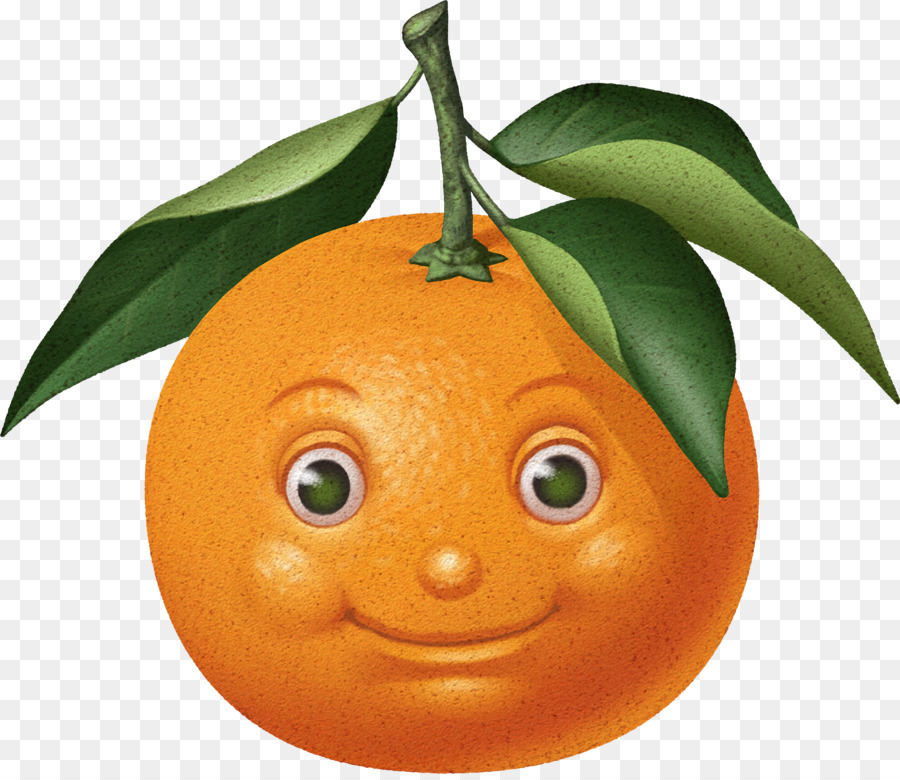 Laranja，Fruta PNG