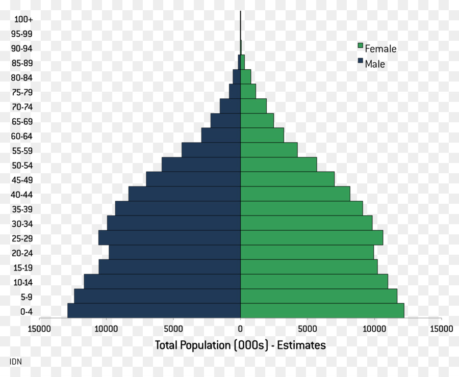 Pirâmide Populacional，Demografia PNG