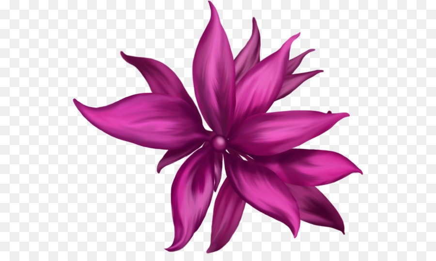 Flor Roxa，Florescer PNG