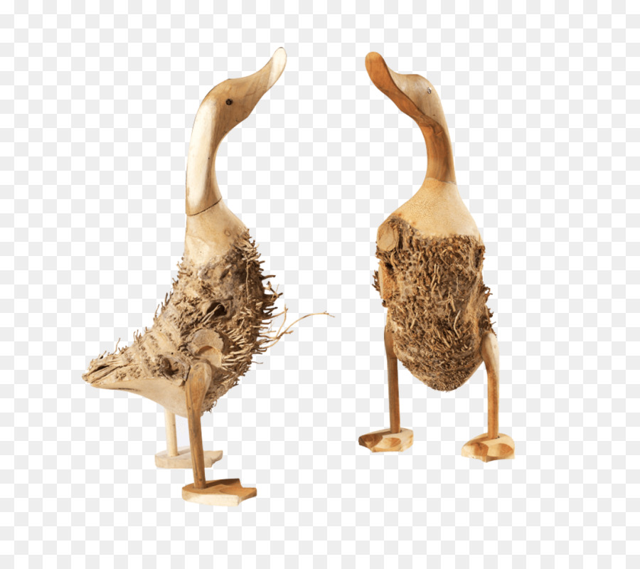 Pato，Ganso PNG