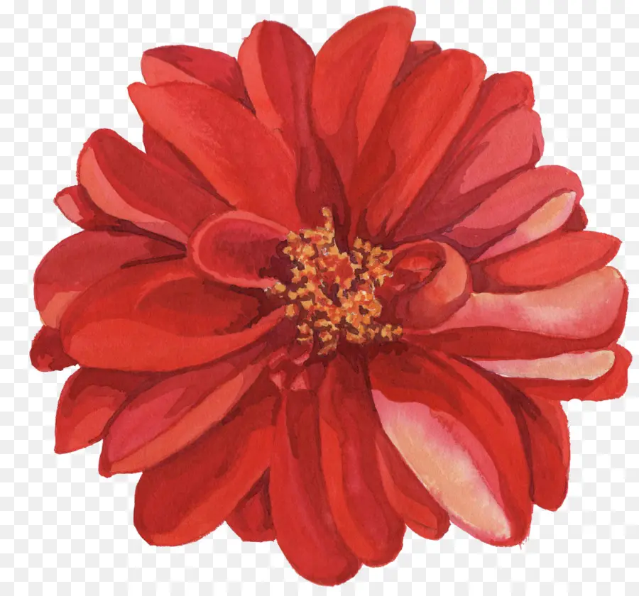 Flor，Aquarela Flores PNG