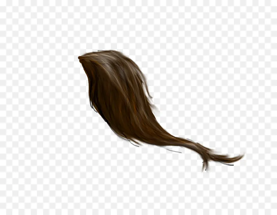 Cabelo Preto，Peruca PNG