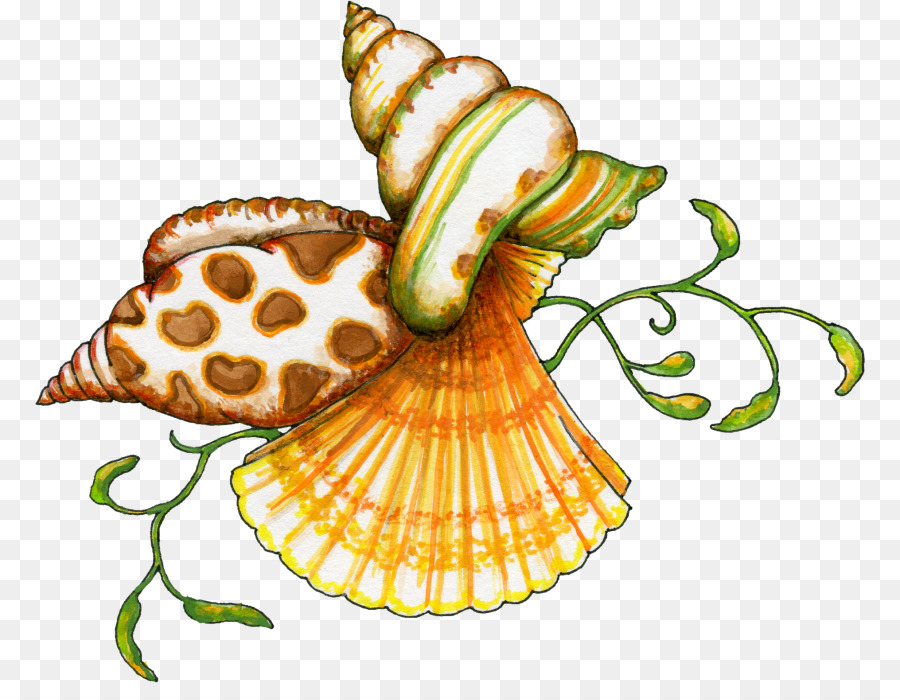Seashell，Miniatura PNG