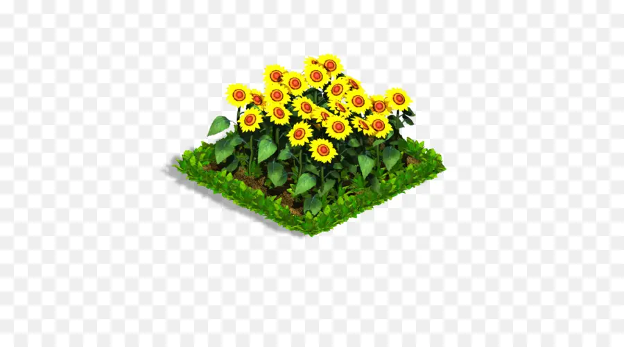 Flowerpot，Planta Anual PNG