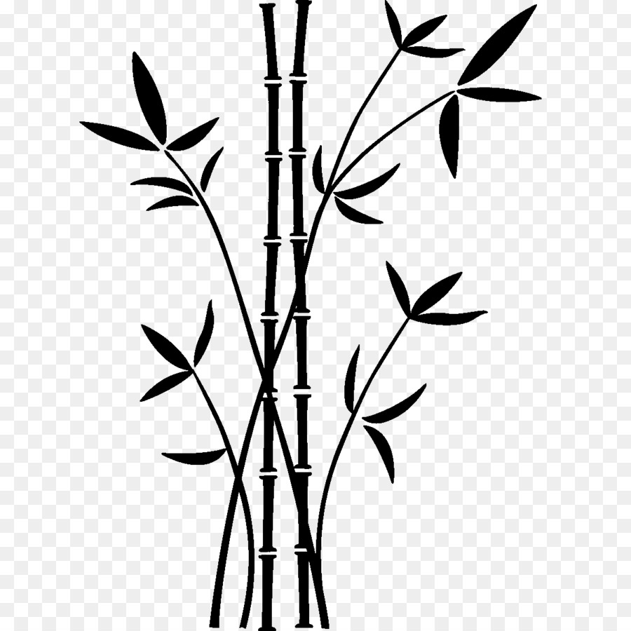 Desenho，Bamboe PNG