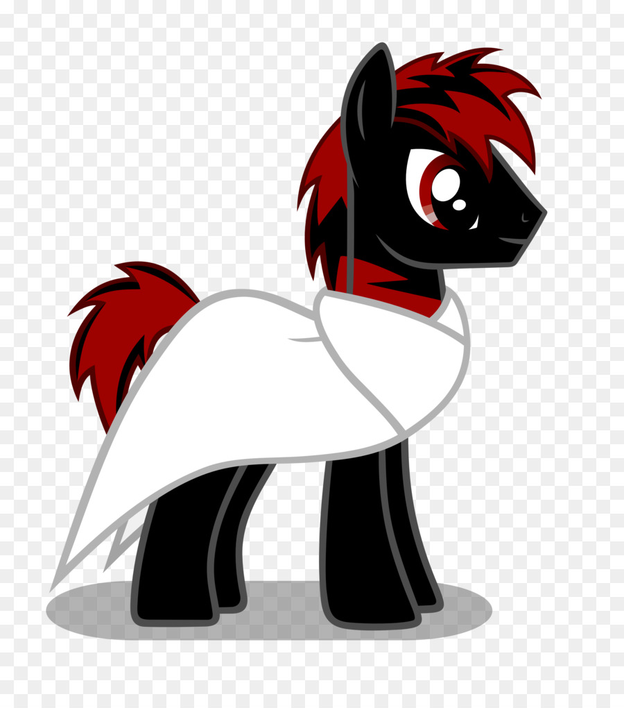 Gato，Cavalo PNG