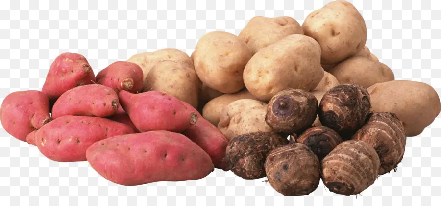 Batatas，Raiz PNG