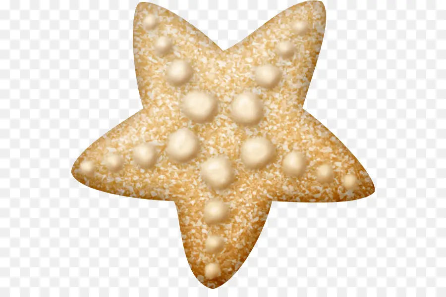 Biscoito Estrela，Biscoito PNG