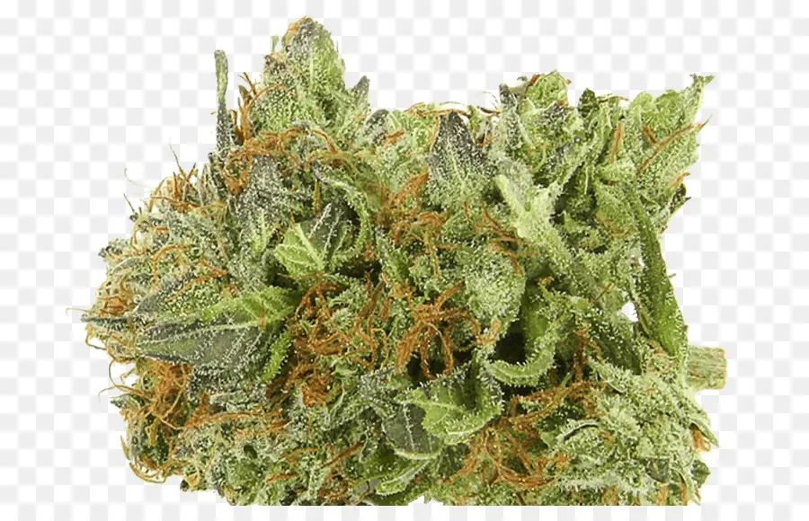 Cannabis，Kush PNG
