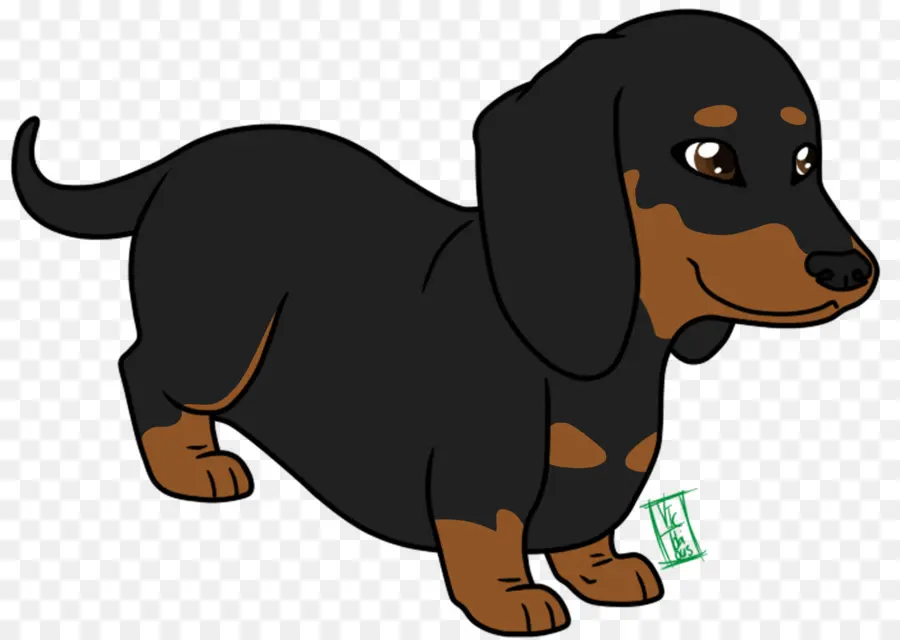 Dachshund，Filhote De Cachorro PNG