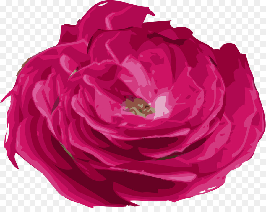 Rosas Roxas，Florescer PNG