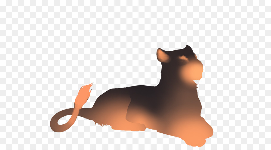 Gato，Leão PNG