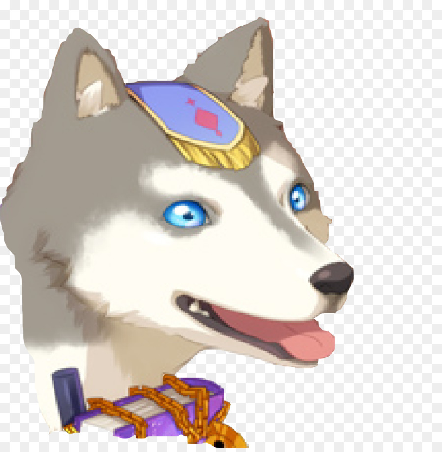 Husky Siberiano，Focinho PNG