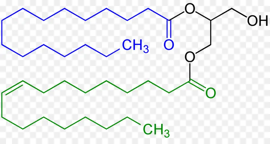 Mono E Diglicéridos De ácidos Gordos，Diglyceride PNG