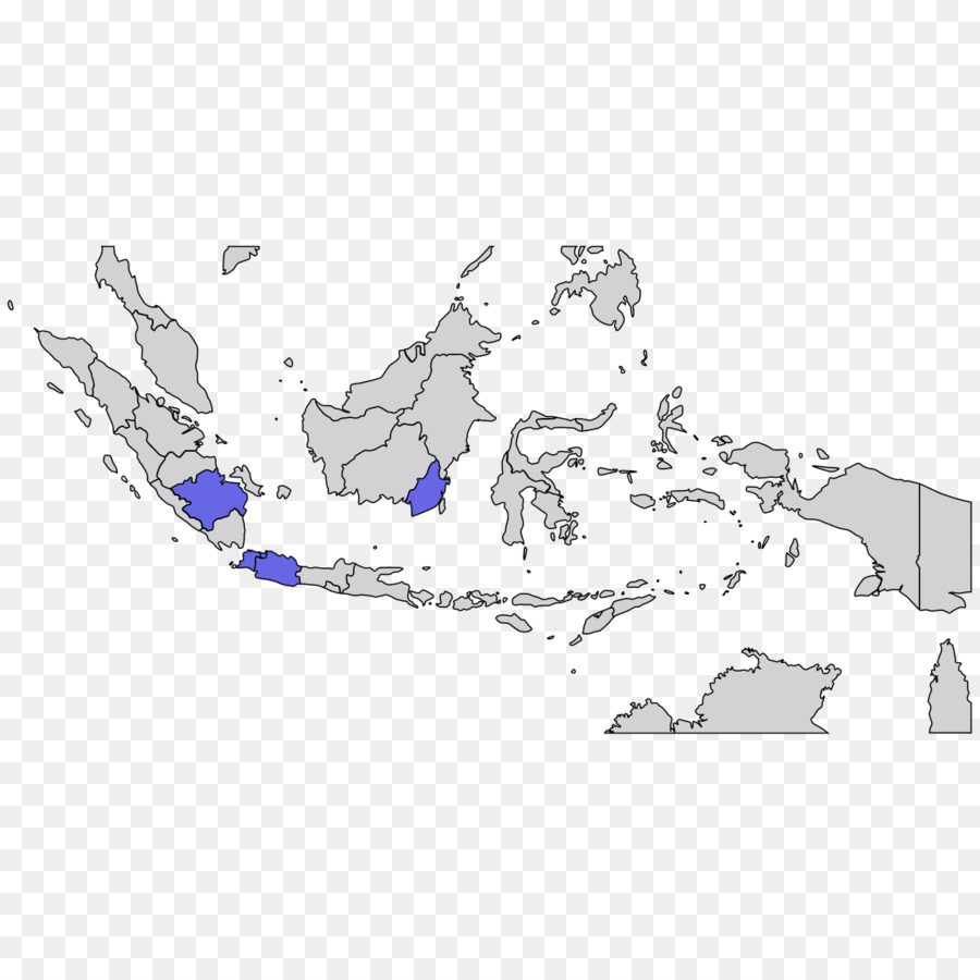 Dragão De Komodo，Nova Guiné Ocidental PNG