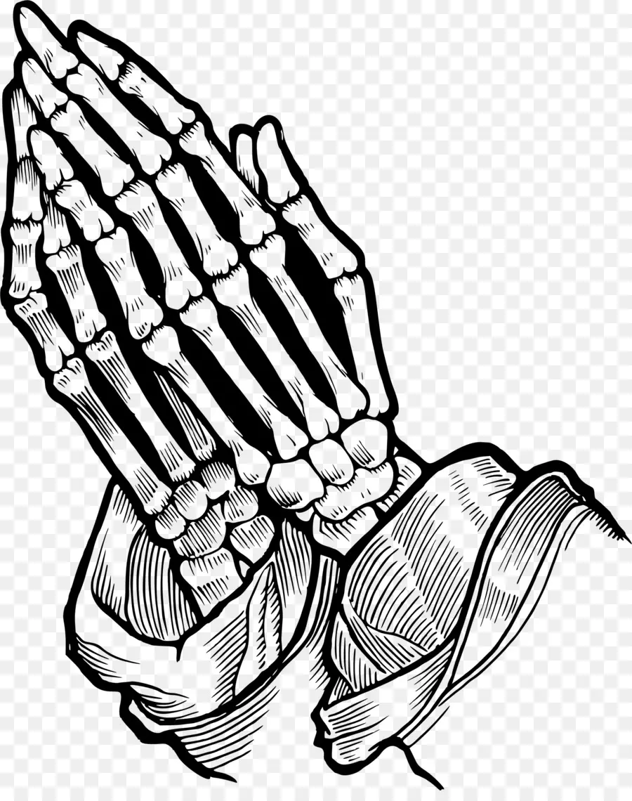 Orando De Mãos，Esqueleto Humano PNG