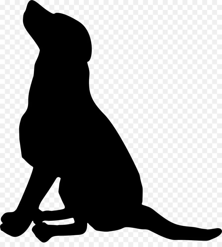 Labrador Retriever，Silhueta PNG