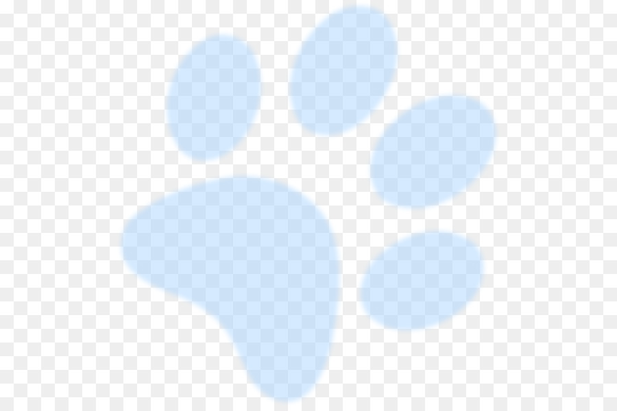 Cão，Urso PNG