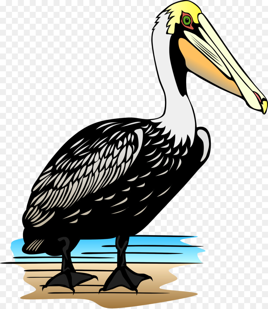 Pelicano，ícones Do Computador PNG