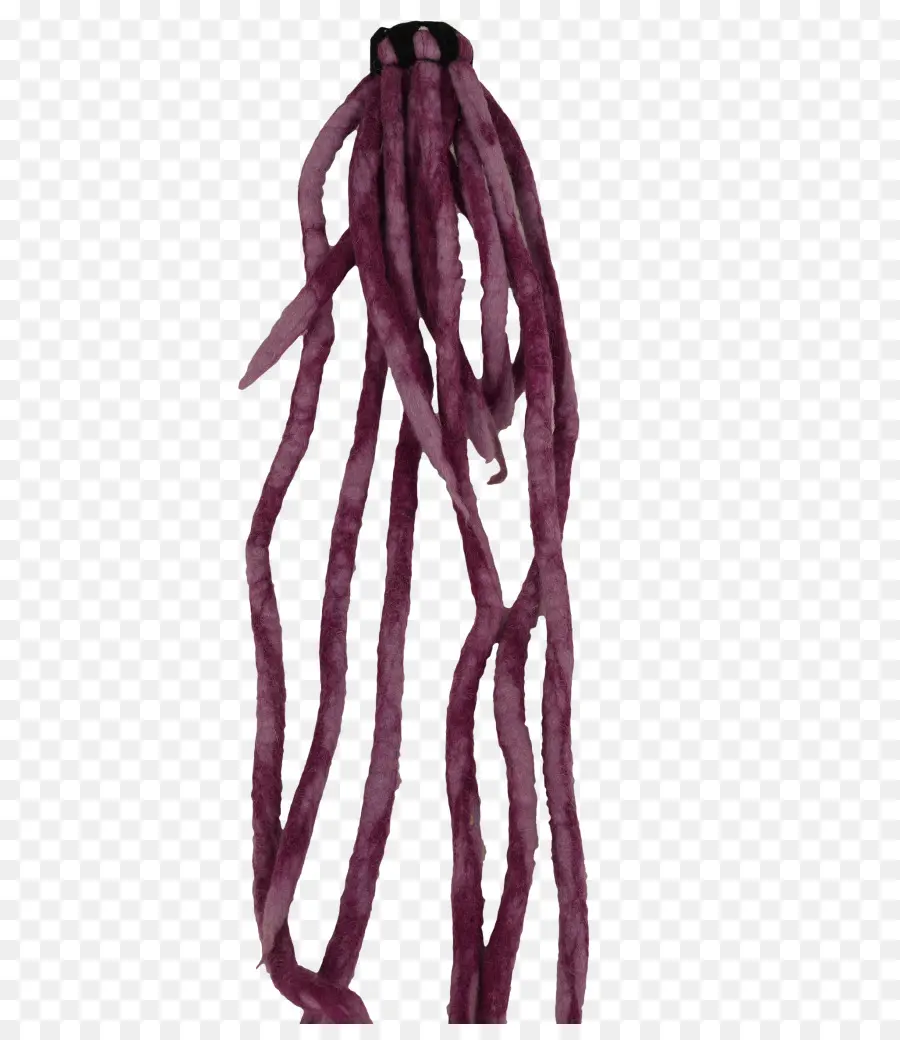 Dreadlocks，Penteado PNG