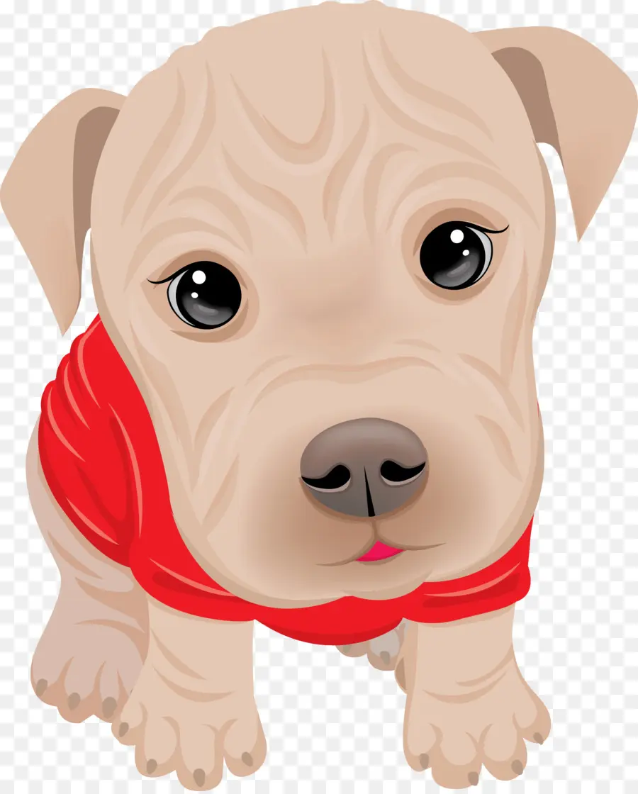 Filhote De Cachorro Fofo，Cachorro PNG